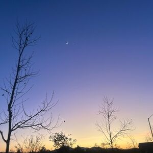 Meet your Posher, Maya